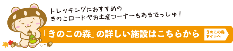 きのこの森施設はこちら