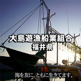 大島遊漁船業組合 福井県