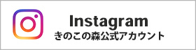 きのこの森インスタグラム