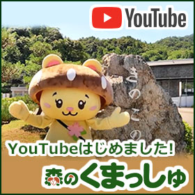 森のくまっしゅYouTubeチャンネル